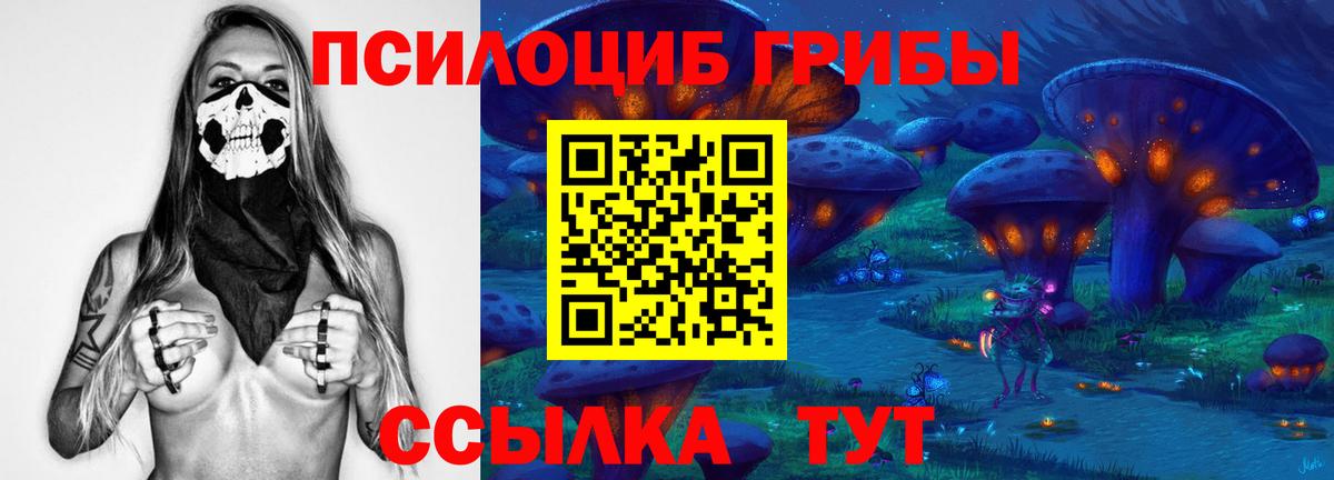 Галлюциногенные грибы MAGIC MUSHROOMS Котовск
